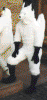 Fursuit